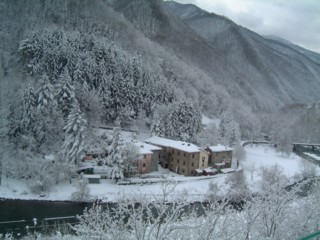  Image name: DSCF3854.JPG 
 width: 320 pixel 
 height: 240 pixel 
 Size: 27238 bytes 
 Click to enlarge 